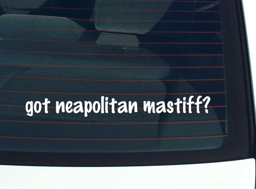 Got neapolitan mastiff - neapolitan, car