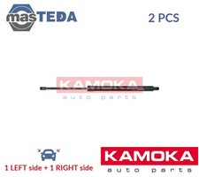 7092616 TAILGATE BOOT STRUTS