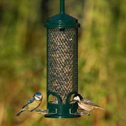 Brome squirrel buster - squirrel,