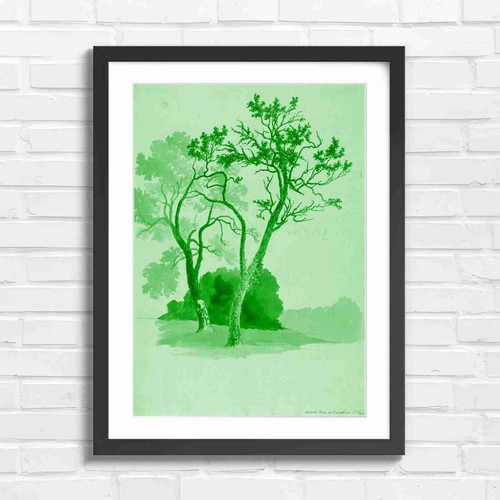 Orchard trees artistic drawing - orchard,