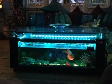 Coffee Table Fish Tank
