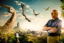 Sir David Attenborough Signed 6x4 Photo Blue Planet Wildlife Autograph + COA