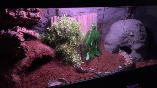 Custom made vivarium - vivarium, (can