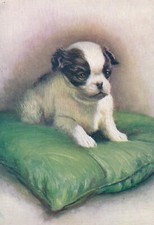 Vintage Postcard - The