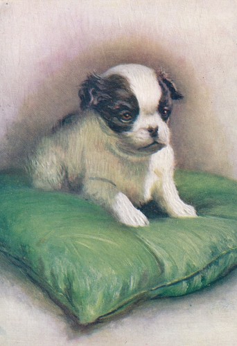 Vintage postcard the - -,