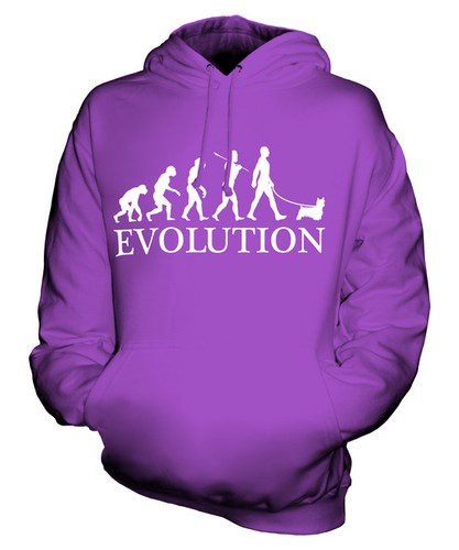 Silky terrier evolution man - silky,
