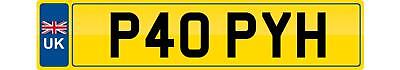 Poppy private number plate - h,