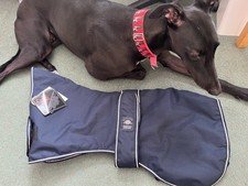 Outhwaites Blue Padded Water Proof Dog Coat Size 26 Greyhound Lurcher Whippet
