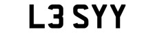 LES LESLY LESLEY NUMBER PLATE