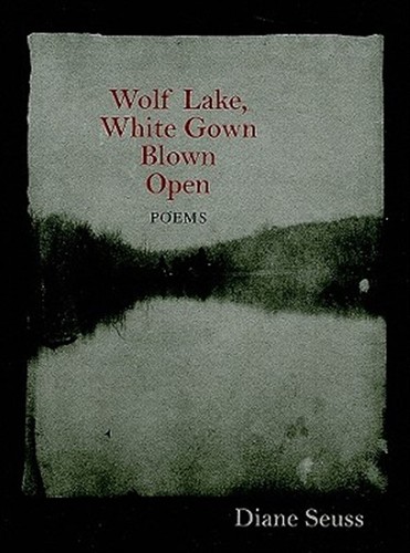 Wolf lake white gown - gown, blown