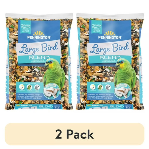 Large bird everyday - large,
