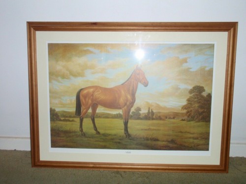 Arkle