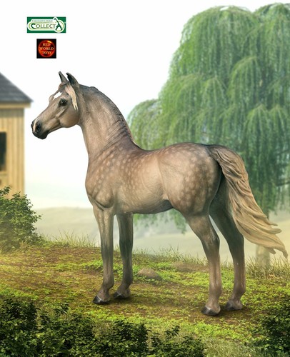 Morgan silver grulla grey - morgan,