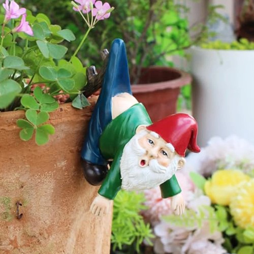 Funny mini gnome - funny,