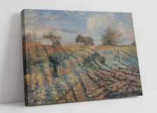 GELEE BLANCHE, CAMILLE