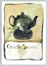 Postcard Camellia Sinensis Tea