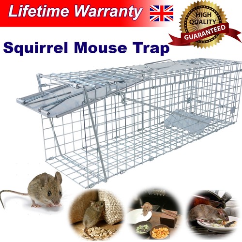 Garden animal trap - trap, humane