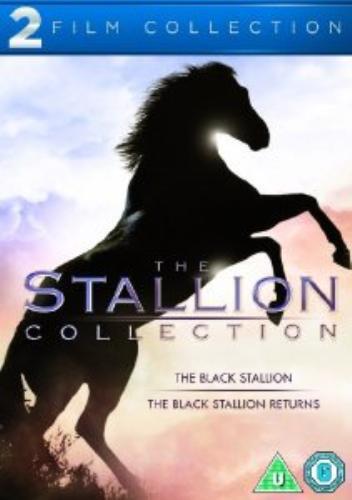 The black stallion - the,