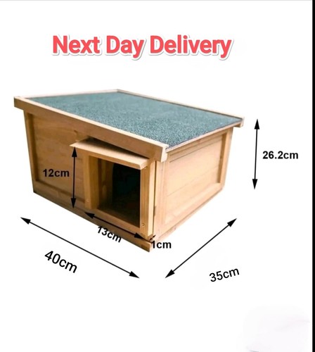 Hedgehog house hibernation - hedgehog,