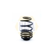 Suspension spring rear - spring, fits