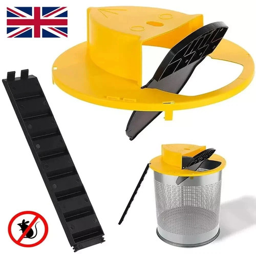 Mouse trap flip - mouse,
