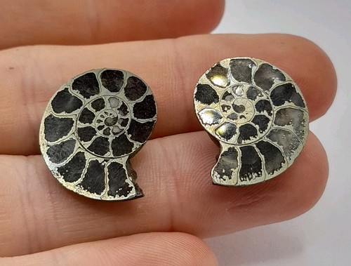 Pair silver pyritized - of,