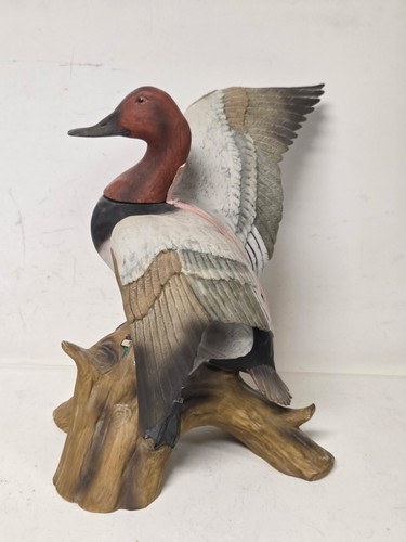 Empty ducks unlimited - ducks, ski