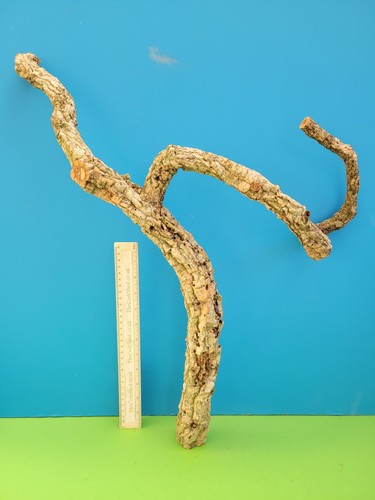 Cork bark branch 59cm snake - cork,