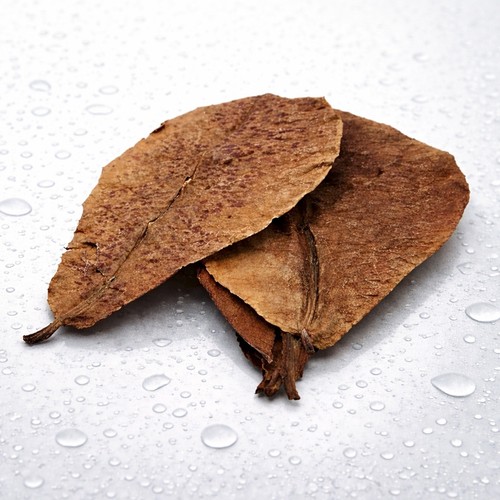 Indian almond leaves - indian,