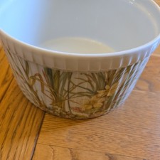 PILLIVUYT souffle Porcelain