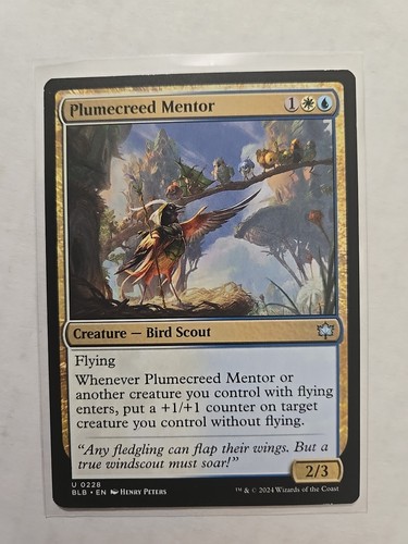 Plumecreed mentor - mentor,