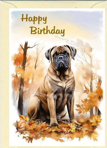 Bullmastiff dog - bullmastiff, (4"x