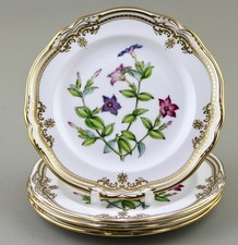 SPODE ENGLAND STAFFORD FLOWERS