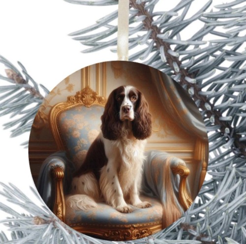 Springer spaniel dog - springer,