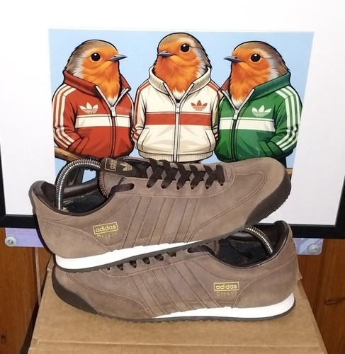 Adidas dragon size from - size,