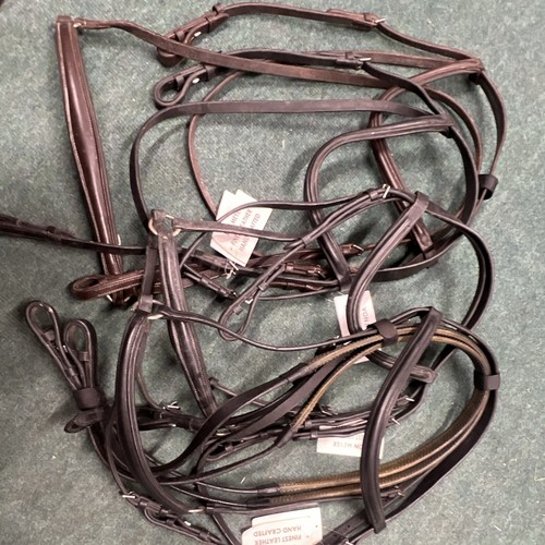 Four bridles