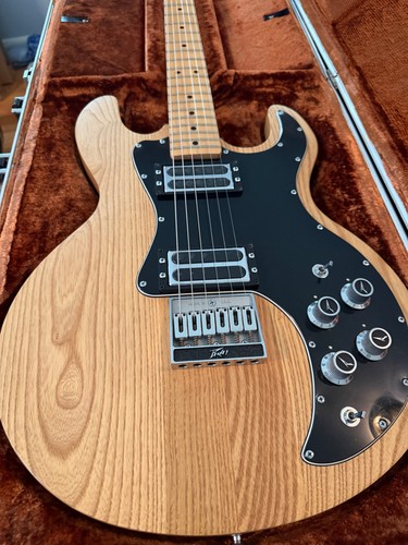 1979 peavey electric - 1979,