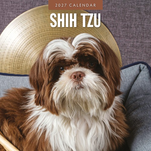 Shih tzu 2027 square wall - tzu,