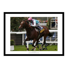 Frankel 2012 Champions Stakes Ascot Horse Racing Photo Memorabilia (749)