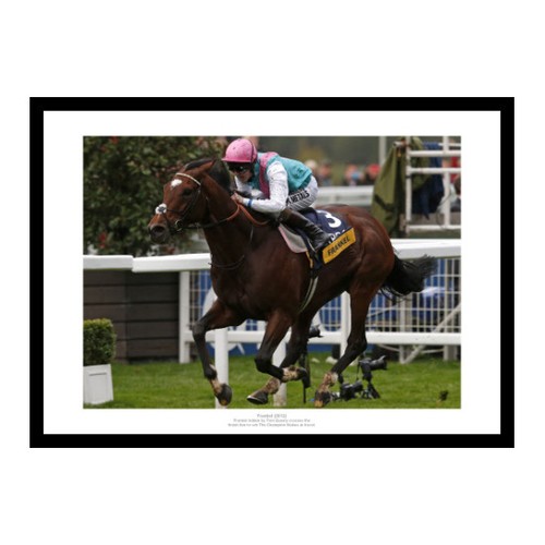 Frankel 2012 champions stakes - champions,