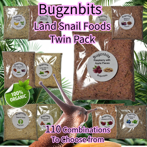Giant african land snail food - giant,