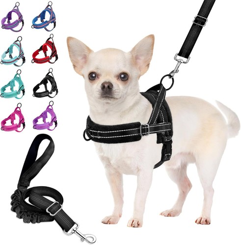 Dog harness small - harness, anti