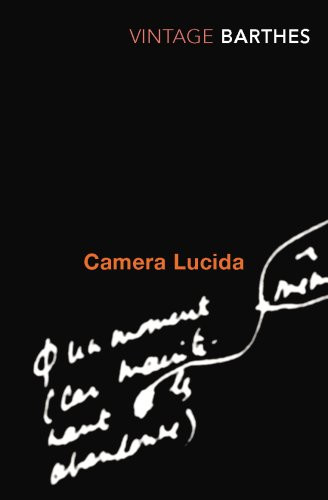Camera lucida reflections on - lucida:,