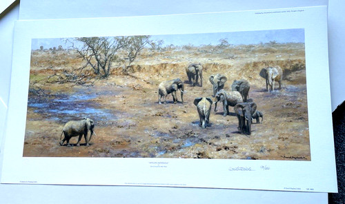 African waterhole david - african,