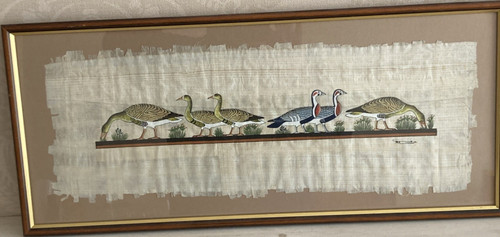 Framed signed bird - bird, print
