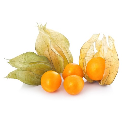 Cape gooseberry physalis - gooseberry,