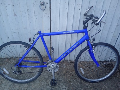 Raleigh max restomod mountain - max,