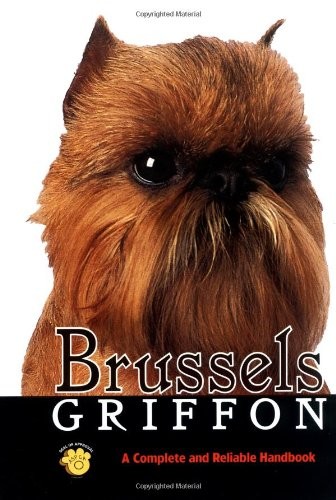 Brussels griffon rare - brussels, (rare