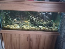 Large Fish Tank And Cabinet