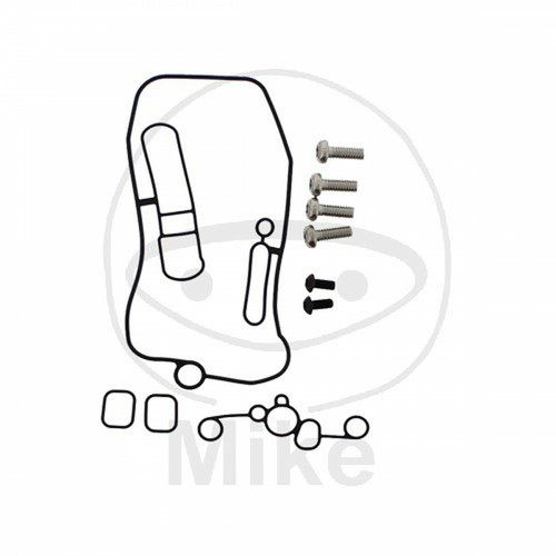Tourmax carburetor revision - carburetor,